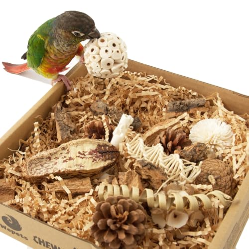 Wepets Natürliches Vogelfutterspielzeug und Papageien-Spielzeugbox, interaktives Kau- und Futterspielzeug für Sittiche, Nymphensittiche, Sittiche, Quäker, Sonnencreme und andere kleine bis mittelgroße von Wepets