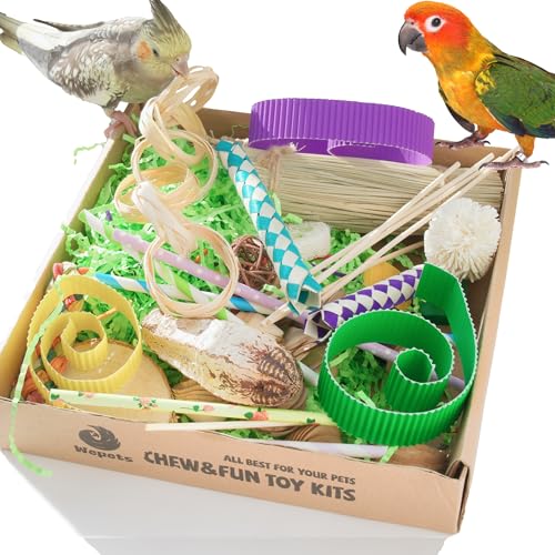 Wepets Vogelfutter- und Papageienspielzeug für Nymphensittiche, Sittiche, Sittiche, Liebesvögel, Wellensittiche, andere Papageien und Vögel von Wepets