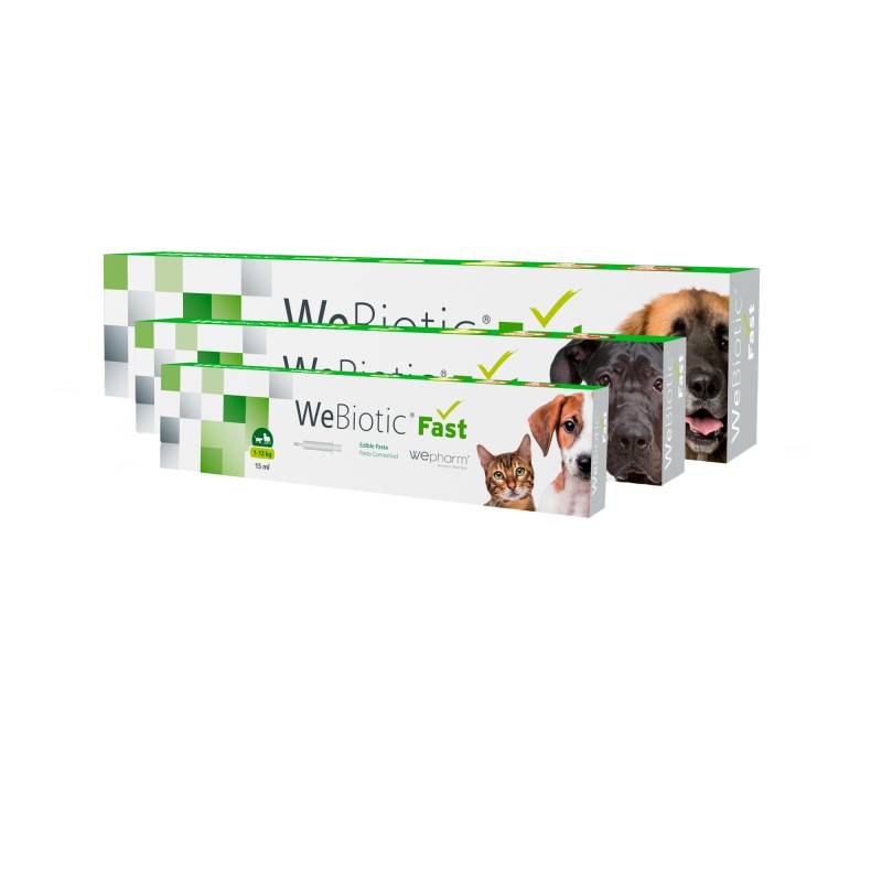 Wepharm WeBiotic Fast - Paste - 15 ml Wepharm WeBiotic Fast - Paste - 15 ml von Wepharm