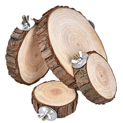 Runde Vogelsitzstangen – rundes Chinchilla-Spielzeug aus Holz | rundes Chinchilla-Spielzeug aus Holz | Vogelkäfig Sitzstangen Pfote | Käfig Vögel beißen stehend Käfig Zubehör für Runde Vogelsitzstangen – rundes Chinchilla-Spielzeug aus Holz | rundes Chinchilla-Spielzeug aus Holz | Vogelkäfig Sitzstangen Pfote | Käfig Vögel beißen stehend Käfig Zubehör für von Weppduk