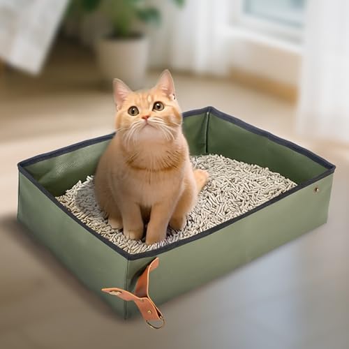 Tragbare Katzen Toilette Katzenklo Für Kitten 30x40x10cm Platzsparende Haustier-Toilette Klappbare Katzentoilette PVC Oxford Tuch Lösung Mit Hohe Rand Und Offenem Oberteil Für Freien, Camping, Haus von Weqizuerqi