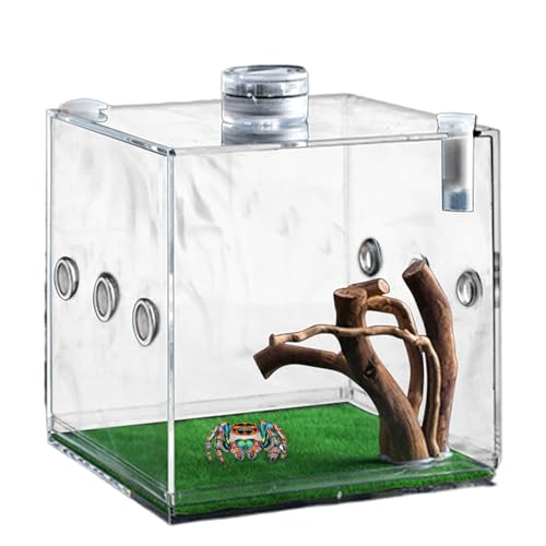 Weqizuerqi 6,5x6.5x6.5cm Reptilien Zuchtbox Springspinnen Gehäuse Springspinne Fütterungsbox Reptilien Terrarium Mit Pipette & Zange Für Spide Skorpion Käfer Gehörnte Frösche Haustierschlangen von Weqizuerqi