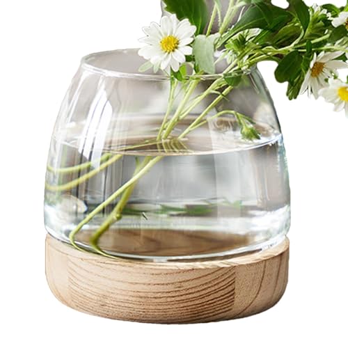 Weqizuerqi Desktop Aquarium klare Aquarium Vase Hydrokultur Pflanzenvase Mit Holzsockel Hydroponische Pflanzenterrarium Blumenvase Fischschale Glas Zuhause Deko von Weqizuerqi