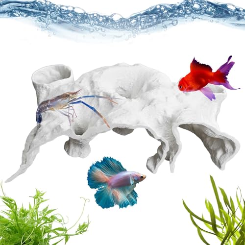 Weqizuerqi Fischhöhle – Garnelenhöhle unterirdische Aquarium-Ornamente – Beobachtungsschutz für -Clown-Schleuchenkrabbe, Betta, Heimruhe, Spielecke, Landschaft, Salzwasser, Süßwasser von Weqizuerqi