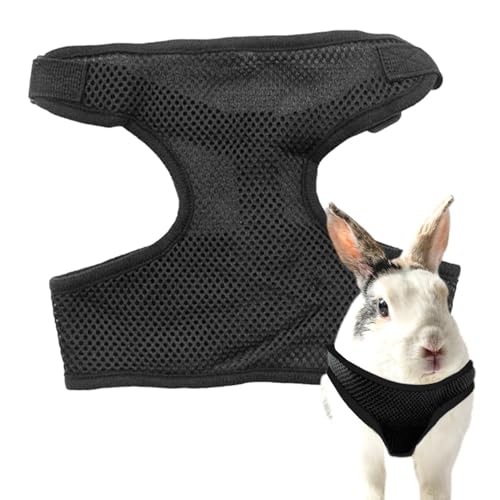 Weqizuerqi Geschirr für Kätzchen, Geschirr für kleine Katzen – weiche Hasenweste aus atmungsaktivem Mesh | Ausbruchsicher für kleine Tiere, kleines Kleid für Welpen, Kätzchen, Kaninchen, Frettchen Weqizuerqi Geschirr für Kätzchen, Geschirr für kleine Katzen – weiche Hasenweste aus atmungsaktivem Mesh | Ausbruchsicher für kleine Tiere, kleines Kleid für Welpen, Kätzchen, Kaninchen, Frettchen von Weqizuerqi