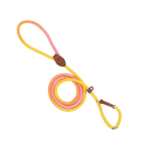 Weqizuerqi Haustiergurt für Hunde, Hundegurt - Welpen Walk -Gurt Nylon Seil ohne Zug | Anti-Slip-Hochfest im Freien kleine mittelgroße Hundezubehör zum Gehen, Camping von Weqizuerqi