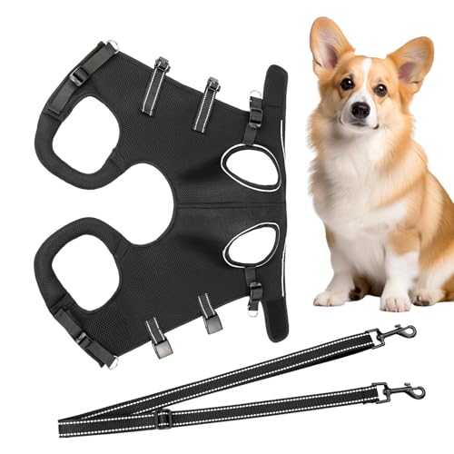 Weqizuerqi Hilfsgeschirr Für Seniorenhunde - Beinunterstützung & Reha-Gurt Für Welpen,Atmungsaktiv Bequem Verstellbarer Senioren Hundegurt Für Spaziergänge Im Freien von Weqizuerqi
