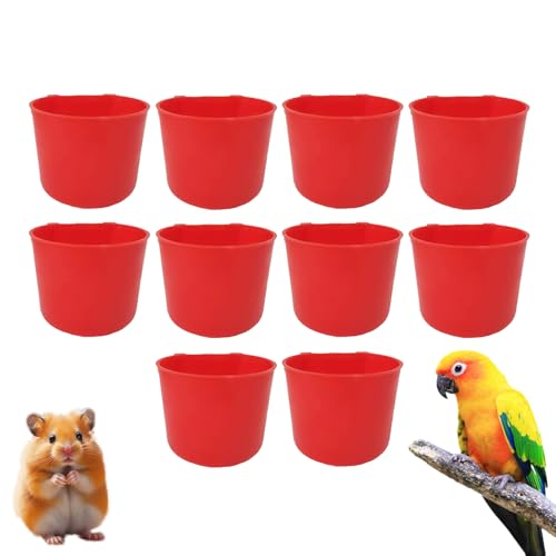 Weqizuerqi Hühnerwasserbecher, Hühnerwässerungstassen - Vogelfutter Feeder Bowl - Tragbares hängbares Weithahnwasser Fütterungstasse 8 Unzen für Bauernhauthähnchen -Hähnchenvögel von Weqizuerqi