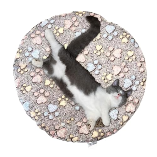 Weqizuerqi Hundewärme-Heizkissen, beheiztes Katzenbett,Katzenbett-Heizmatte | Wasserdichtes elektrisches Haustier-Heizkissen mit USB-Aufladung, Haustierbettwärmer für kleine Katzen und Hunde Weqizuerqi Hundewärme-Heizkissen, beheiztes Katzenbett,Katzenbett-Heizmatte | Wasserdichtes elektrisches Haustier-Heizkissen mit USB-Aufladung, Haustierbettwärmer für kleine Katzen und Hunde von Weqizuerqi