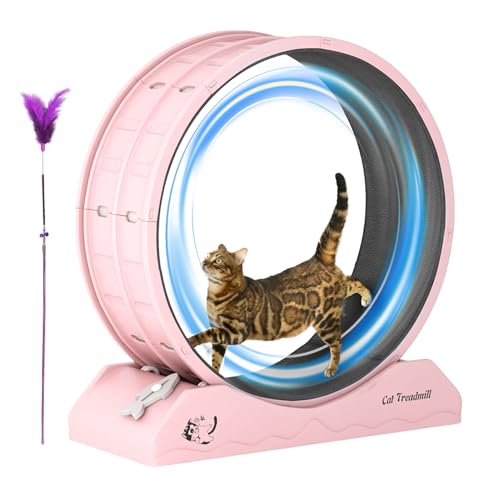 Weqizuerqi Katzen Trainingsrad, Gewichtsmanagement Für Kätzchen Mit Laufradfunktion, Sicheres Indoor Laufrad Für Hauskatzen Weqizuerqi Katzen Trainingsrad, Gewichtsmanagement Für Kätzchen Mit Laufradfunktion, Sicheres Indoor Laufrad Für Hauskatzen von Weqizuerqi
