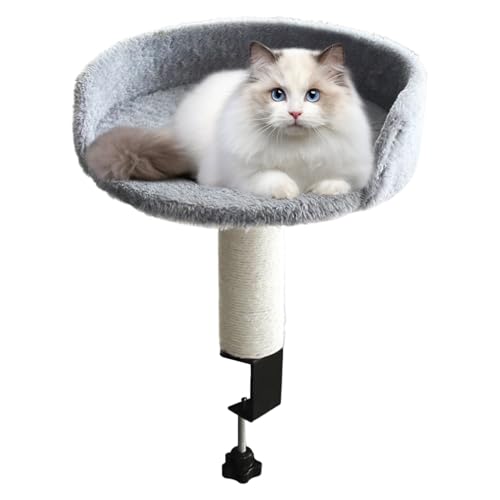 Weqizuerqi Katzenbett Schreibtischmontage Entfernbar,Desktop Katzenbett - Weiche Nestauflage Befestigung Für Haustiere Geeignet Für Den Innenbereich Wie Wohnzimmer Schlafzimmer Sowie Zuhause Und von Weqizuerqi