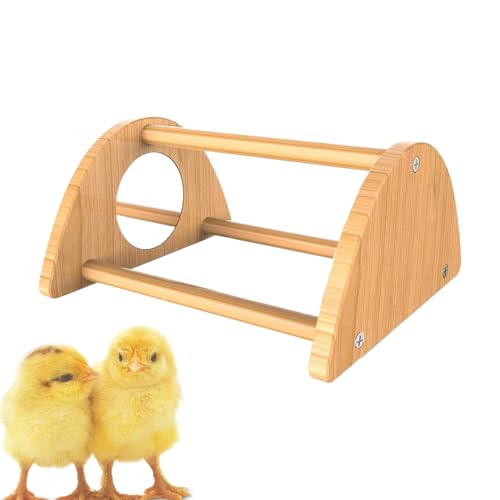 Weqizuerqi Küken Sitzstange - Küken Standplatz mit Spielstange,Interaktiver Hühner Trainingsstand Aus Holz Mit Spiegel Für Hühner Weqizuerqi Küken Sitzstange - Küken Standplatz mit Spielstange,Interaktiver Hühner Trainingsstand Aus Holz Mit Spiegel Für Hühner von Weqizuerqi