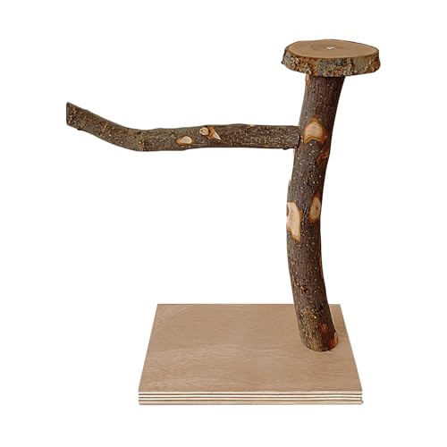 Weqizuerqi Vogelstab, Vogelkäfig-Spielzeug aus - Vogelkäfigspielzeug mit Barschhalter zum im Käfig | Multifunktionales Kletterspielzeug für Papageien, Wellensittiche, Wellensittiche, von Weqizuerqi