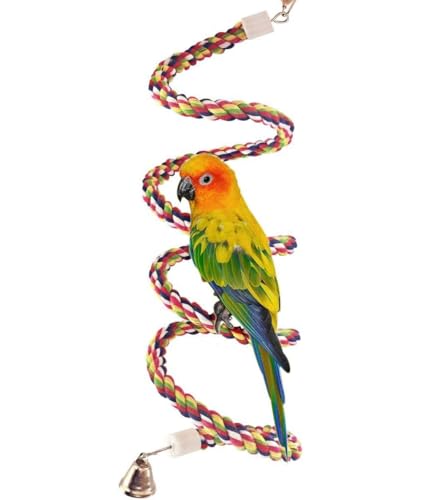 Werwing 160 cm Vogelseil-Sitzstange & Spiralspielzeug – Baumwoll-Bungee-Käfig-Zubehör für Sittiche, Nymphensittiche, Sittiche, Sittiche, Sittiche, Sittiche, Sittiche, Sittiche, Sittiche, Werwing 160 cm Vogelseil-Sitzstange & Spiralspielzeug – Baumwoll-Bungee-Käfig-Zubehör für Sittiche, Nymphensittiche, Sittiche, Sittiche, Sittiche, Sittiche, Sittiche, Sittiche, Sittiche, von Werwing