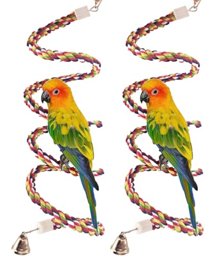 Werwing 2 Stück 160 cm Vogelseil-Sitzstange & Spiralspielzeug – Baumwoll-Bungee-Käfig-Zubehör für Sittiche, Nymphensittiche, Sittiche, Sittiche, Sittiche, Sittiche, Sittiche, Sittiche, Sittiche, Sit von Werwing