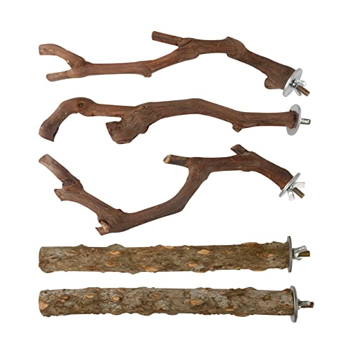 Werwing 5-teiliges Vogelsitz-Set aus natürlichem Holz, ideal für Sittiche, Nymphensittiche und kleine bis mittelgroße Vögel, schafft einen natürlichen Lebensraum von Werwing