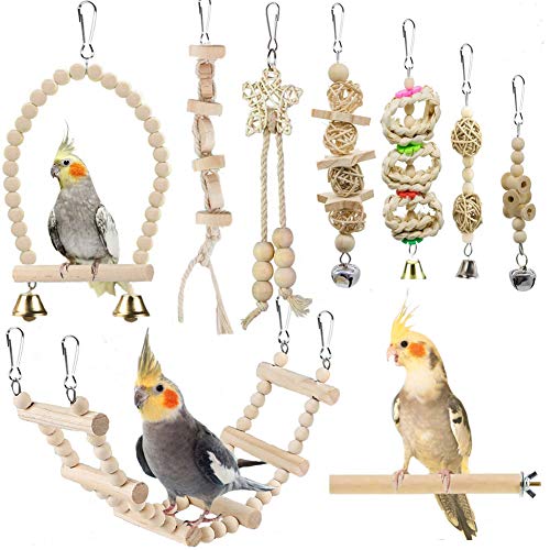 Werwing 9-teiliges Vogelschaukel und Aktivitäts-Fitness-Studio-Set | Kauspielzeug aus natürlichem Holz mit Hängematte, Leitersitzstange | Käfigzubehör für Sittiche, Papageien, Nymphensittiche Werwing 9-teiliges Vogelschaukel und Aktivitäts-Fitness-Studio-Set | Kauspielzeug aus natürlichem Holz mit Hängematte, Leitersitzstange | Käfigzubehör für Sittiche, Papageien, Nymphensittiche von Werwing