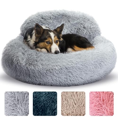 Werwing Angstbett für Hunde, Rundes Bett, rutschfest und waschbar, Bett in Donut-Form für kleine, mittlere und große Hunde, Bett aus Kunstfell, Plüsch, 80 cm, für Tiere bis 20.4 kg, Grau Werwing Angstbett für Hunde, Rundes Bett, rutschfest und waschbar, Bett in Donut-Form für kleine, mittlere und große Hunde, Bett aus Kunstfell, Plüsch, 80 cm, für Tiere bis 20.4 kg, Grau von Werwing