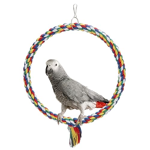 Werwing Baumwollseil Schaukel & Kletterstange Set | Bunte Käfigzubehör für Papageien, Sittiche, Nymphensittiche | Vogelspielzeug mit kaubaren Texturen Werwing Baumwollseil Schaukel & Kletterstange Set | Bunte Käfigzubehör für Papageien, Sittiche, Nymphensittiche | Vogelspielzeug mit kaubaren Texturen von Werwing
