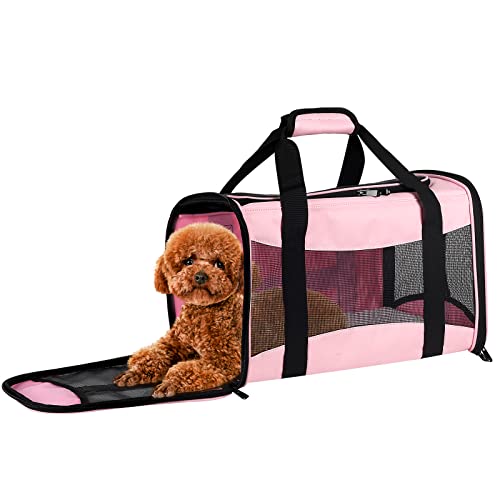 Werwing Bird Travel Cage Carrier - Tragbarer Rucksack für kleine Vögel | Faltbare, atmungsaktive & sichere Tragetasche für Sittiche, Papageien und Finken von Werwing