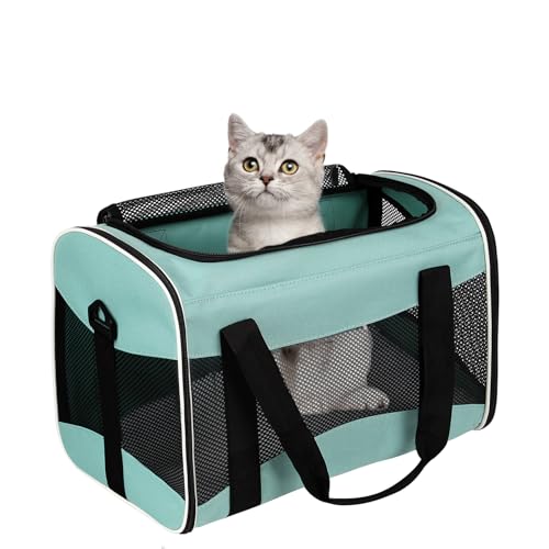 Werwing Bird Travel Cage Carrier - Tragbarer Rucksack für kleine Vögel | Faltbare, atmungsaktive & sichere Tragetasche für Sittiche, Papageien und Finken von Werwing