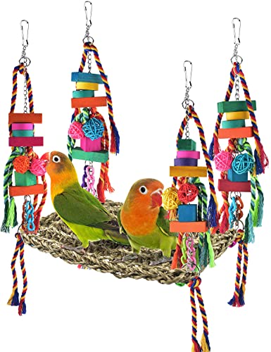 Werwing Großes Seegras Futtersuche Wandspielzeug | Kletterhängematte mit Kauspielzeug & Schaukel | Käfigzubehör für Sittiche, Sittiche, Sittiche, Sittiche, Sittiche, Nymphensittiche Werwing Großes Seegras Futtersuche Wandspielzeug | Kletterhängematte mit Kauspielzeug & Schaukel | Käfigzubehör für Sittiche, Sittiche, Sittiche, Sittiche, Sittiche, Nymphensittiche von Werwing