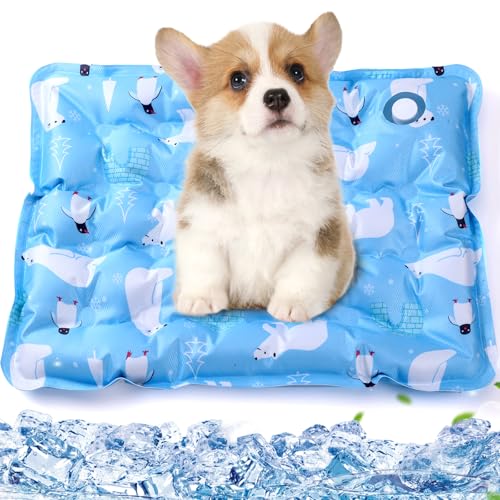 Werwing Hunde-Kühlmatte für den Sommer – tragbares Haustier-Kühlkissen mit ungiftigem Gel, kühles Bett für drinnen und draußen, leicht zu reinigendes Design für Komfort bei heißem Wetter Werwing Hunde-Kühlmatte für den Sommer – tragbares Haustier-Kühlkissen mit ungiftigem Gel, kühles Bett für drinnen und draußen, leicht zu reinigendes Design für Komfort bei heißem Wetter von Werwing