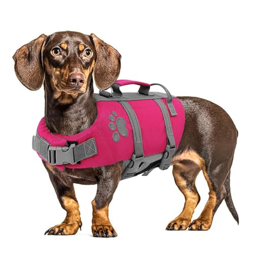 Werwing Hundeschwimmweste für kleine und mittelgroße Hunde – verstellbare schwimmende Schwimmweste mit Sicherheitsgriff, reflektierenden Riemen und Leinenhaken zum Schwimmen, Bootfahren oder von Werwing