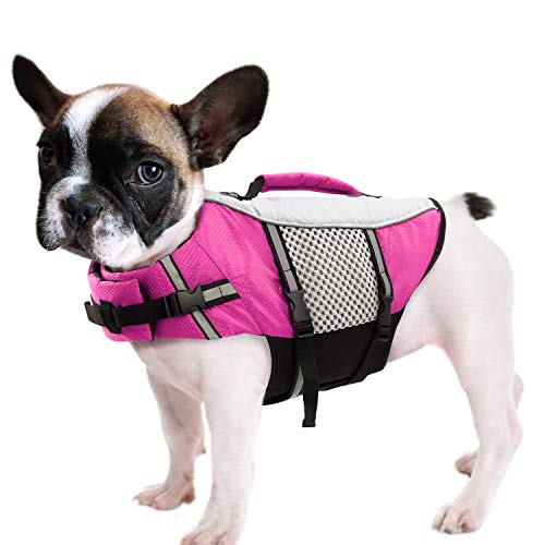 Werwing Hundeschwimmweste – hoch – Auftrieb, leicht, reflektierend, für alle Hunde und Katzen – ideal für Wasserabenteuer Werwing Hundeschwimmweste – hoch – Auftrieb, leicht, reflektierend, für alle Hunde und Katzen – ideal für Wasserabenteuer von Werwing