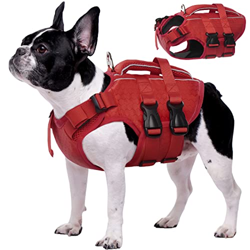 Werwing Hundeschwimmweste – verstellbare Schwimmweste für Hunde mit Sicherheitsgriff und reflektierenden Streifen zum Schwimmen, Bootfahren von Werwing