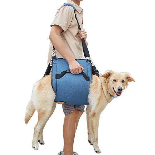 Werwing Hundetragetuch – Verstellbare Haustier-Trageschlinge & Ganzkörper-Stützgeschirr für ältere Hunde, Gelenkverletzungen | Notfall-Hunderucksack, Rollstuhl für Rücken, Beine, Fellpflege von Werwing