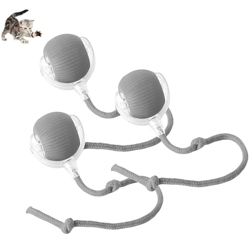 Werwing 【Interaktiver Rollball für Haustier】Automatische Bewegung, 3 Spielmodi & Typ-C Aufladen für Katzen & Hunde (Grau) von Werwing