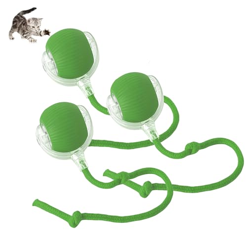 Werwing 【Interaktiver Rollball für Haustier】Automatische Bewegung, 3 Spielmodi & Typ-C Aufladen für Katzen & Hunde (Grün) von Werwing