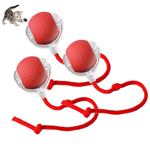 Werwing 【Interaktiver Rollball für Haustier】Automatische Bewegung, 3 Spielmodi & Typ-C Aufladen für Katzen & Hunde (Rot) von Werwing