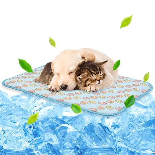 Werwing Kühlmatte für Hunde – Kühlmatte aus Eisseide, tragbares Haustier-Kühlbett für Hunde und Katzen, für den Innen- und Außenbereich Werwing Kühlmatte für Hunde – Kühlmatte aus Eisseide, tragbares Haustier-Kühlbett für Hunde und Katzen, für den Innen- und Außenbereich von Werwing