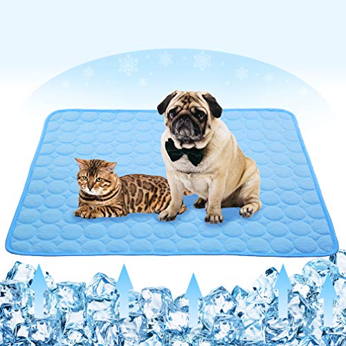 Werwing Kühlmatte für Hunde für den Sommer – Eisseide, selbstkühlende Haustierunterlage mit atmungsaktivem Netz, tragbar und waschbar, kühles Bett für Hunde und Katzen, für den Innen- und Außenbereich Werwing Kühlmatte für Hunde für den Sommer – Eisseide, selbstkühlende Haustierunterlage mit atmungsaktivem Netz, tragbar und waschbar, kühles Bett für Hunde und Katzen, für den Innen- und Außenbereich von Werwing