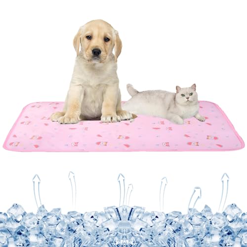 Werwing Kühlmatte für Hunde – innovatives, bequemes Hunde-Eiskissen und Eisseide-Katzen-Matte für alle Sommerkühlbedürfnisse Ihres Haustiers Werwing Kühlmatte für Hunde – innovatives, bequemes Hunde-Eiskissen und Eisseide-Katzen-Matte für alle Sommerkühlbedürfnisse Ihres Haustiers von Werwing