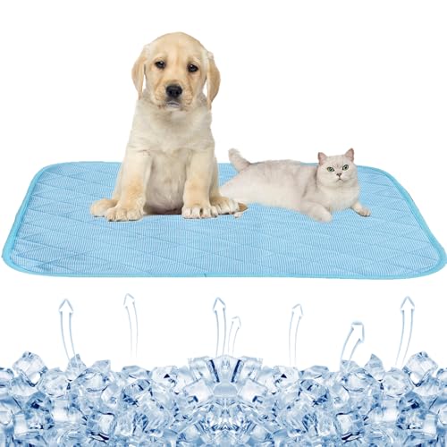 Werwing Kühlmatte für Hunde mit fortschrittlicher Kälte-Sensing-Technologie, atmungsaktives Kühlkissen aus Eisseide, strapazierfähiges Nylon, kühlendes Bett für Hunde und Katzen Werwing Kühlmatte für Hunde mit fortschrittlicher Kälte-Sensing-Technologie, atmungsaktives Kühlkissen aus Eisseide, strapazierfähiges Nylon, kühlendes Bett für Hunde und Katzen von Werwing