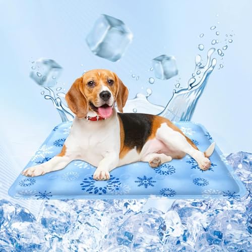 Werwing Kühlmatte für Hunde – patentiert, sicher und sehr praktisch, tragbar, wendbar, Kaltgel-Kühlkissen für den Sommerkomfort Ihres Haustiers Werwing Kühlmatte für Hunde – patentiert, sicher und sehr praktisch, tragbar, wendbar, Kaltgel-Kühlkissen für den Sommerkomfort Ihres Haustiers von Werwing