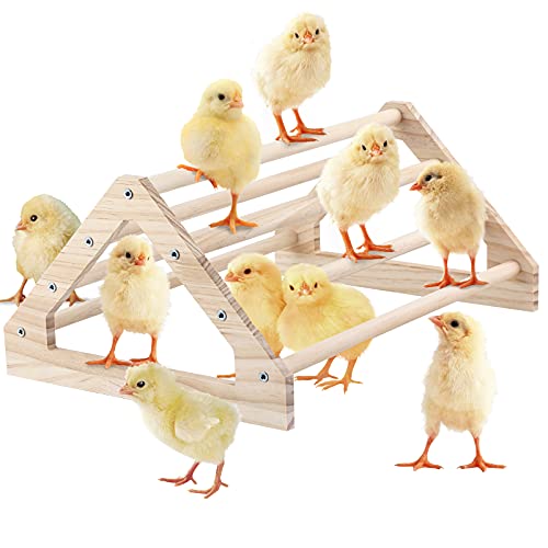 Werwing Natural Pine Chicken Barch Jungle Gym - Roosting Bar & Spielplatz für Küken, Hühner, Sittiche und kleine Vögel von Werwing