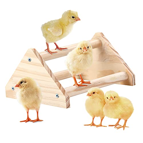 Werwing Natural Pine Chicken Barch Jungle Gym - Roosting Bar & Spielplatz für Küken, Hühner, Sittiche und kleine Vögel von Werwing