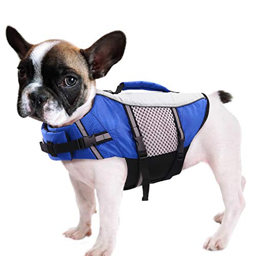 Werwing Schwimmweste für kleine und mittelgroße Hunde – Schwimmweste aus Neopren mit verstellbaren Trägern, reflektierendem Sicherheitsdesign und Rettungsgriff für Bootfahren und Wassersport von Werwing