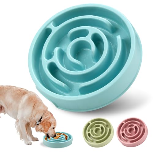 Werwing Slow Feeder Hundenapf – 20,3 cm Anti-Rutsch-Puzzle-Schüssel für alle Rassen, reduziert Ersticken und Blähungen, spülmaschinenfest von Werwing