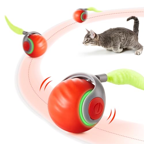 Werwing Smart Interaktiver Katzenspielzeug-Ball - Wiederaufladbarer Rollball mit Federschwanz für Indoor-Katzen, 2025 Neuestes Kätzchenspielzeug für Bewegung und Unterhaltung, Blau Werwing Smart Interaktiver Katzenspielzeug-Ball - Wiederaufladbarer Rollball mit Federschwanz für Indoor-Katzen, 2025 Neuestes Kätzchenspielzeug für Bewegung und Unterhaltung, Blau von Werwing