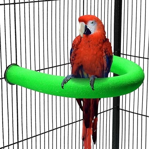 Werwing U-Form Papageien-Sitzstange - Sandbedeckte Vogelkäfig-Sitzstange für Schnabel & Nagelschleifen, Conure, Wellensittich, Nymphensittich Werwing U-Form Papageien-Sitzstange - Sandbedeckte Vogelkäfig-Sitzstange für Schnabel & Nagelschleifen, Conure, Wellensittich, Nymphensittich von Werwing
