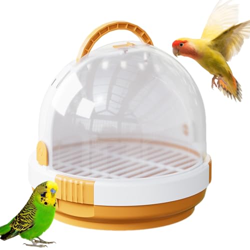 Werwing Vogelreisekäfig Transportkäfig – Transparenter Papageienkäfig mit Sitzstange | Leichte & atmungsaktive Tragetasche für Wellensittiche, Nymphensittiche & kleine Vögel von Werwing