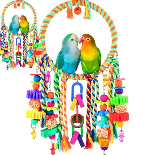 Werwing Vogelschaukel & Kauspielzeug Combo | Bunte Sitzstange, Hängematte & Futtersuche Spielzeug für Sittiche, Lovebirds, Conures | Käfigzubehör mit Glocken & Rattan-Kugeln von Werwing