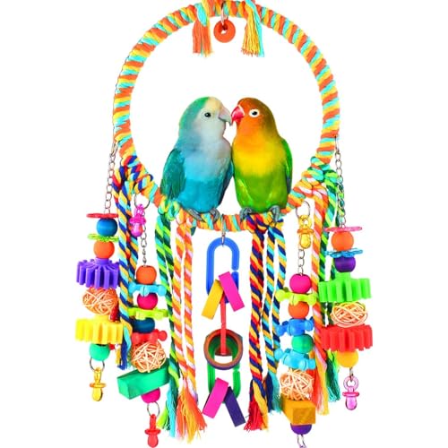 Werwing Vogelschaukel & Kauspielzeug Combo | Bunte Sitzstange, Hängematte & Futtersuche Spielzeug für Sittiche, Lovebirds, Conures | Käfigzubehör mit Glocken & Rattankugeln Werwing Vogelschaukel & Kauspielzeug Combo | Bunte Sitzstange, Hängematte & Futtersuche Spielzeug für Sittiche, Lovebirds, Conures | Käfigzubehör mit Glocken & Rattankugeln von Werwing