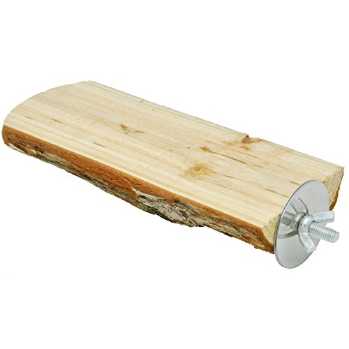 Werwing Vogelsitzstange – 17,8 cm Holzplattform für Sittiche, Nymphensittiche und kleine Vögel – endloser Spaß und Komfort von Werwing