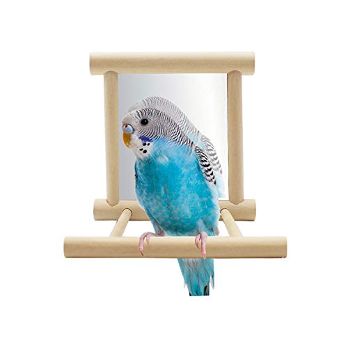 Werwing Vogelspiegel Spielzeug Schaukel mit Holzstange - Interaktives Hängespielzeug für Papageien, Nymphensittiche, Wellensittiche & Lovebirds | Käfigzubehör, Spielplatz & Kaustange von Werwing